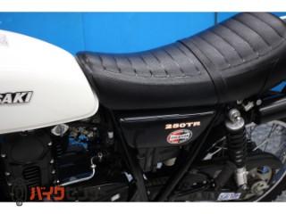250TR　ＢＪ２５０Ｆモデル　インジェクション　プチカスタム[img39]