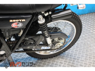 250TR　ＢＪ２５０Ｆモデル　インジェクション　プチカスタム[img41]
