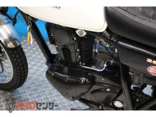 250TR　ＢＪ２５０Ｆモデル　インジェクション　プチカスタム[img44]