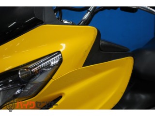 スカイウェイブ250 タイプM　ＣＪ４５Ａモデル　カスタムマフラー　キャリア付き[img38]
