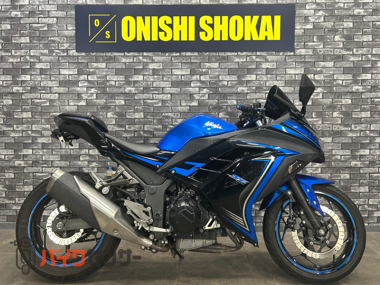 カワサキ NINJA250 B532778| BDSバイクセンサー