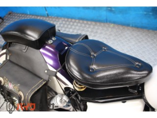 ドラッグスター250　ＶＧ０２Ｊモデル　カスタムマフラー　サイドバック[img5]