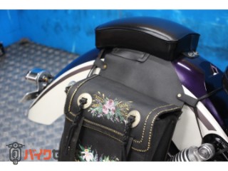 ドラッグスター250　ＶＧ０２Ｊモデル　カスタムマフラー　サイドバック[img18]