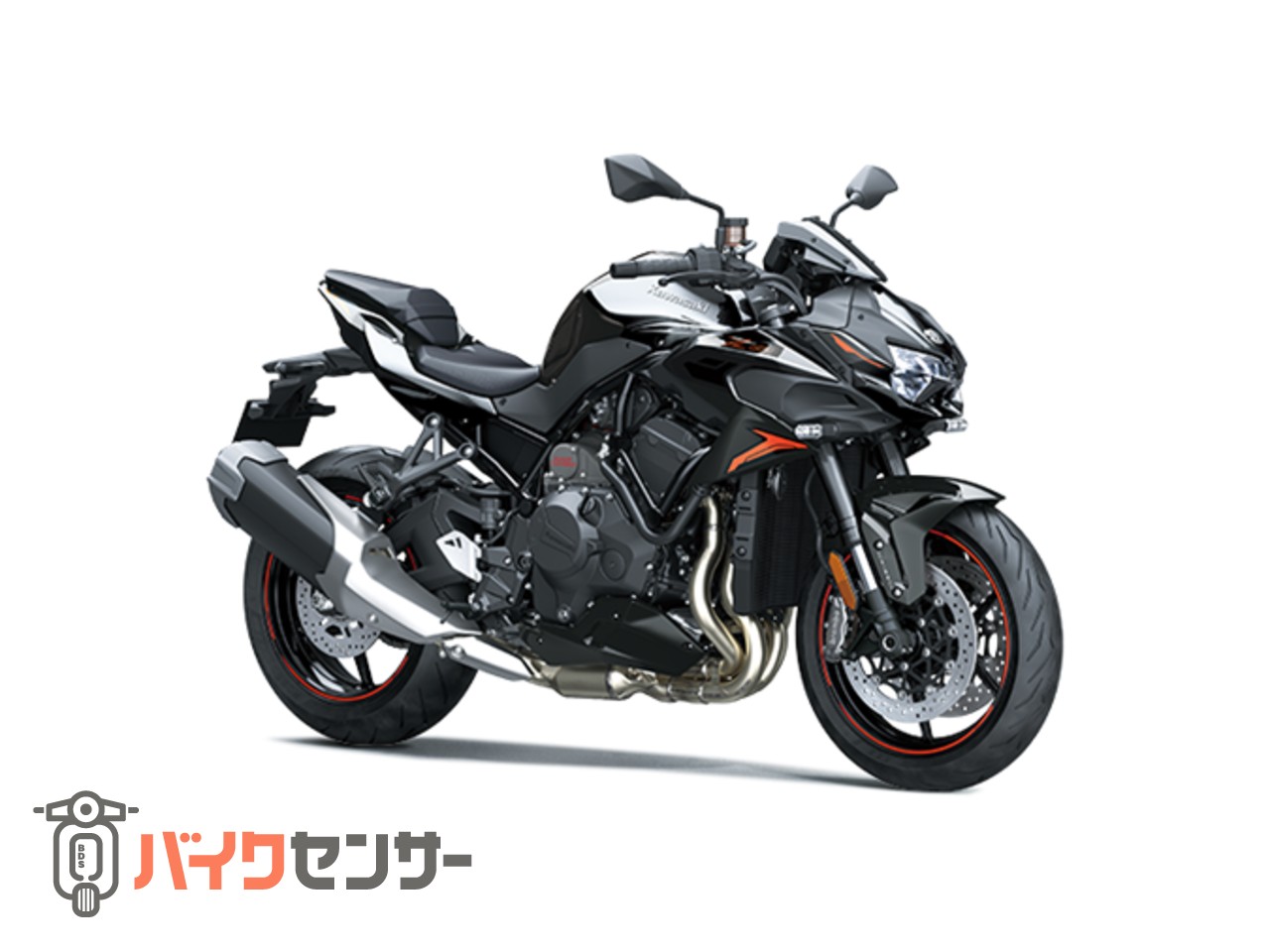 カワサキ Z H2 B533521| BDSバイクセンサー