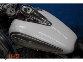 ドラッグスター250　カスタムマフラー　ＥＴＣ　ＶＧ０２Ｊモデル[img45]