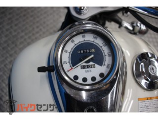 ドラッグスター250　ＶＧ０５Ｊモデル　　ノーマル[img14]