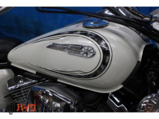 ドラッグスター250　ＶＧ０５Ｊモデル　　ノーマル[img20]