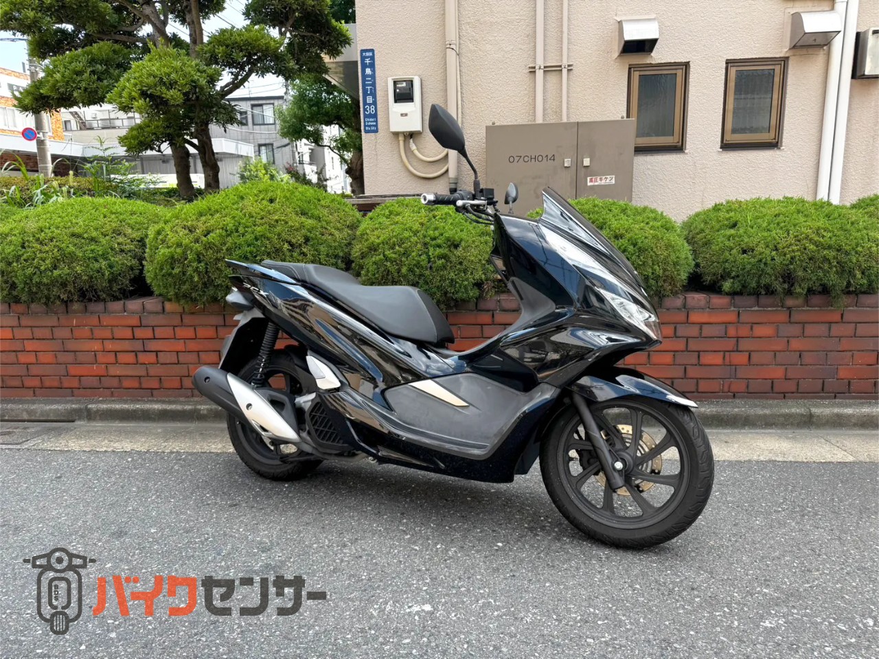 しょぴこじ 9月 ホンダ PCX125（JF81） B543047| BDSバイクセンサー