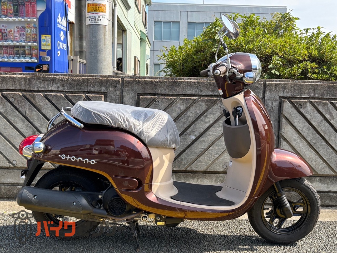 ホンダ　ジョルノ　AF70 ホンダ ジョルノ AF70 カカオ B544958| BDSバイクセンサー