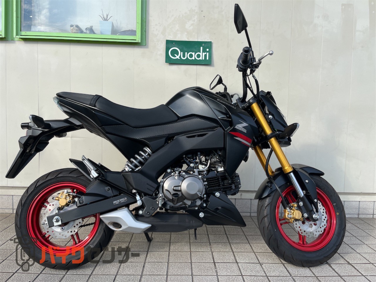 Z125PRO 外装一式 Z125PRO用 Ninja H2 Jr. 外装キット | すべての商品 | K's-STYLE