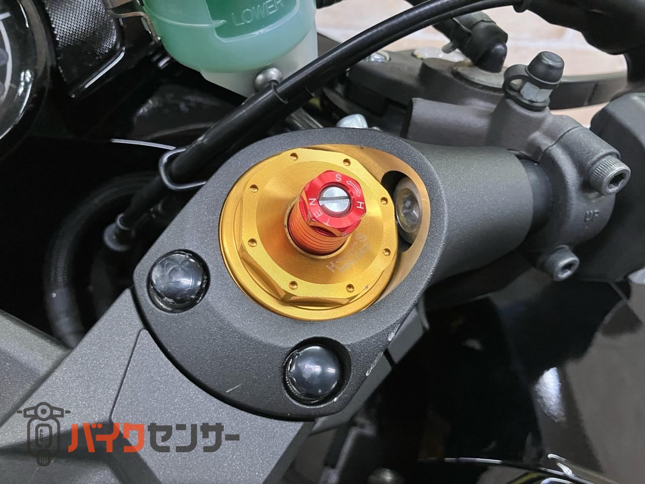 NINJA ZX-14R スペシャルエディション　オーリンズ　ゲイルスピード　GP-1S　OVER　バックステップ_6