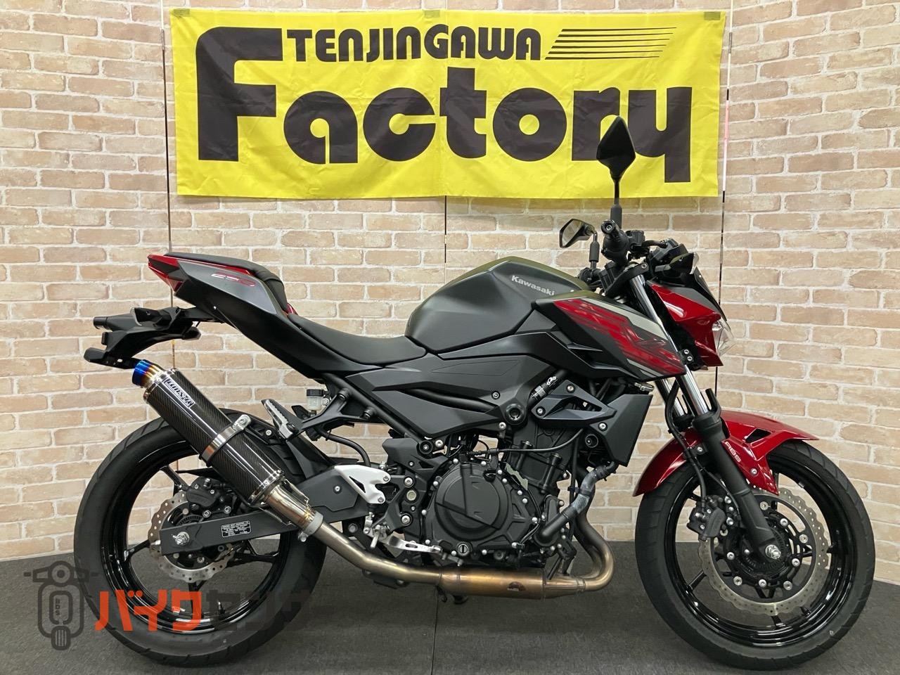 Z250 2019年モデル　BMS-Rサイレンサー_0