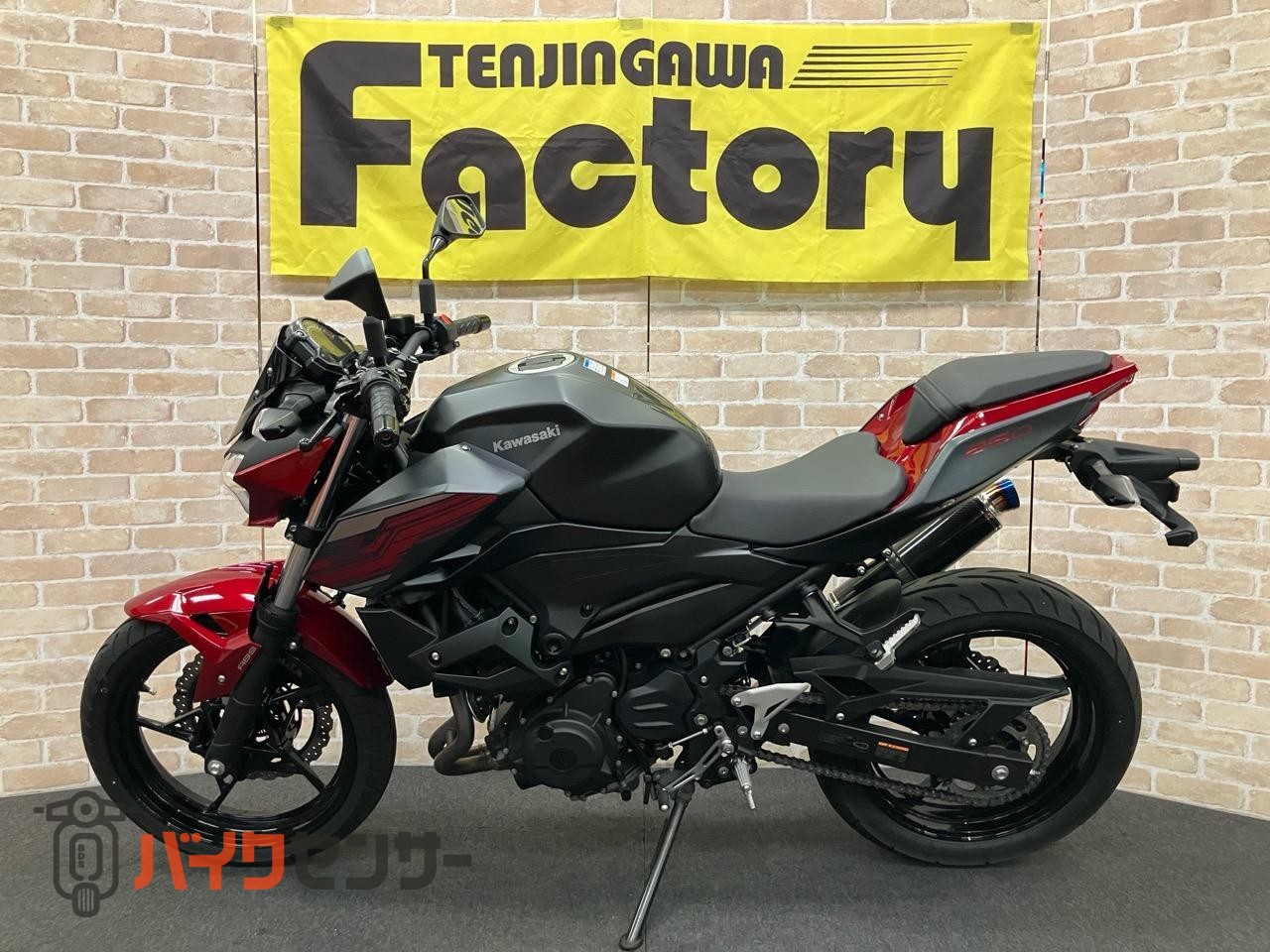 Z250 2019年モデル　BMS-Rサイレンサー_1