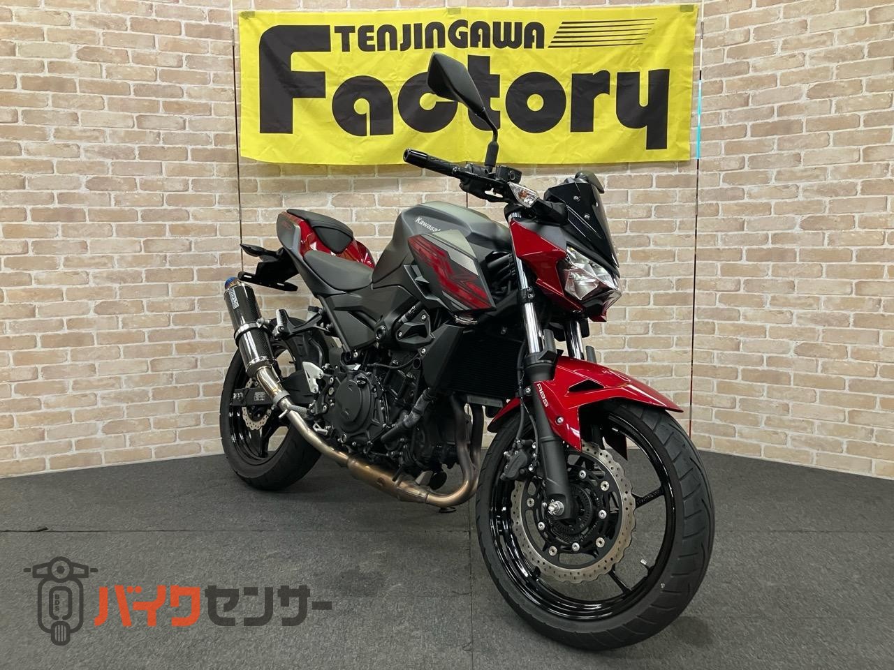 Z250 2019年モデル　BMS-Rサイレンサー_2