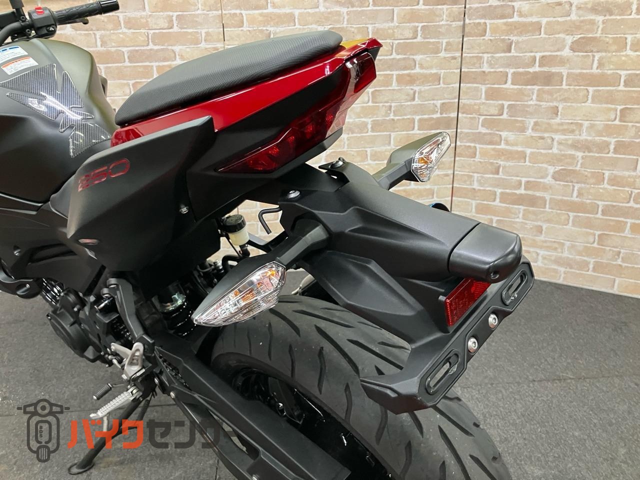 Z250 2019年モデル　BMS-Rサイレンサー_6