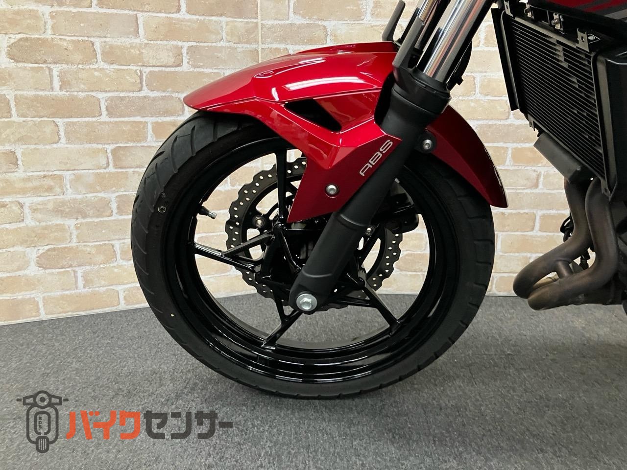 Z250 2019年モデル　BMS-Rサイレンサー_8