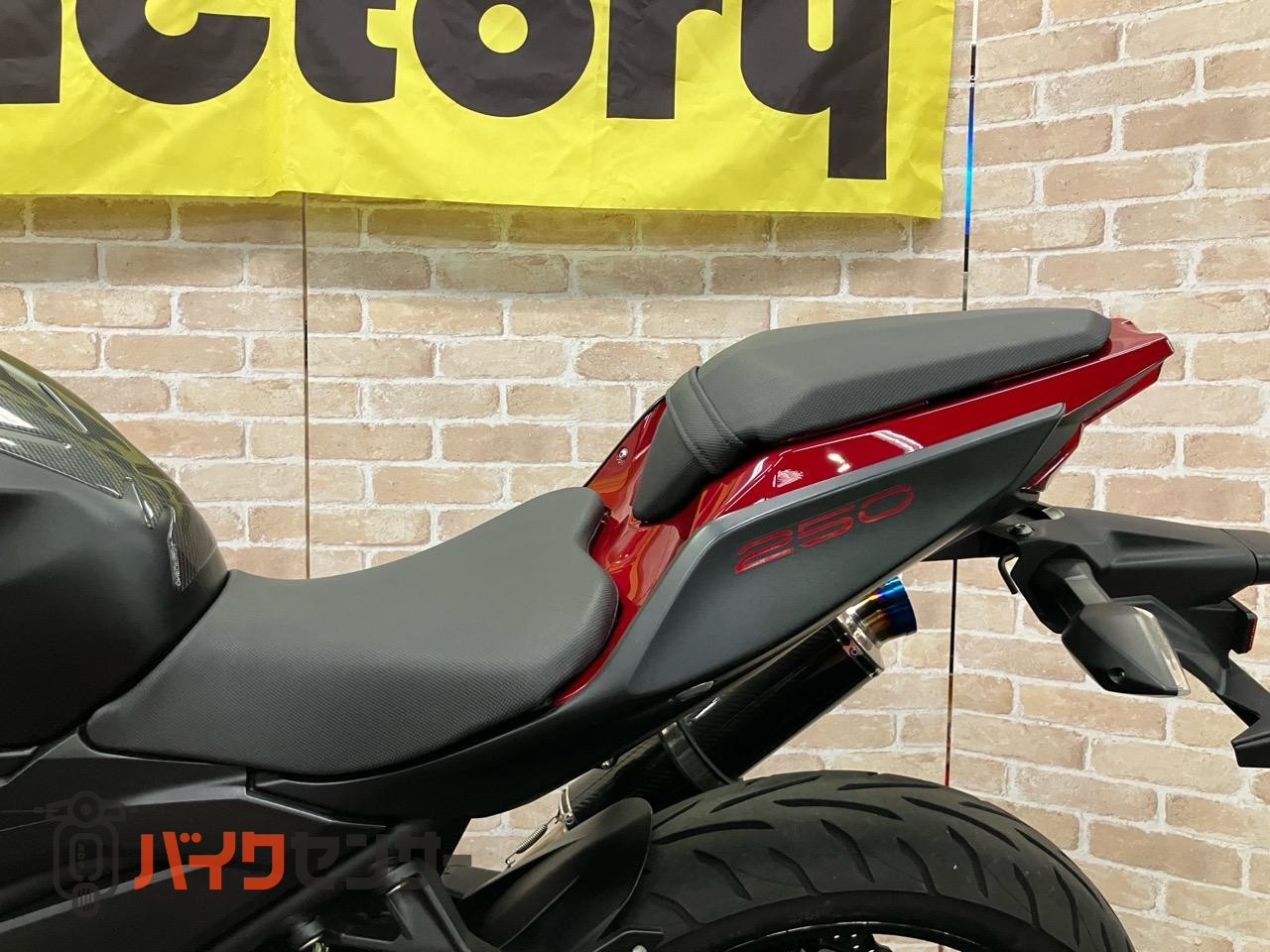 Z250 2019年モデル　BMS-Rサイレンサー_11