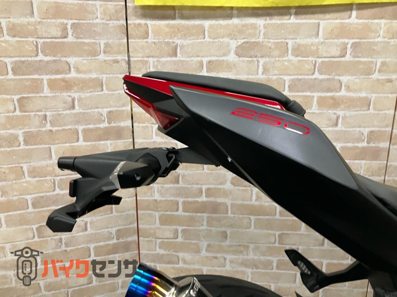 Z250 2019年モデル　BMS-Rサイレンサー_34