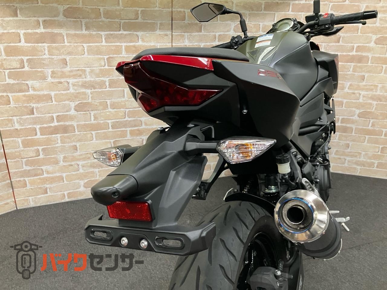 Z250 2019年モデル　BMS-Rサイレンサー_38