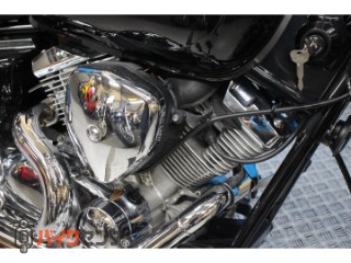 ドラッグスター250　ＶＧ０５Ｊモデル　バックレスト　２００８[img21]