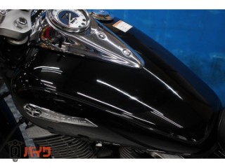 ドラッグスター250　ＶＧ０５Ｊモデル　バックレスト　２００８[img43]