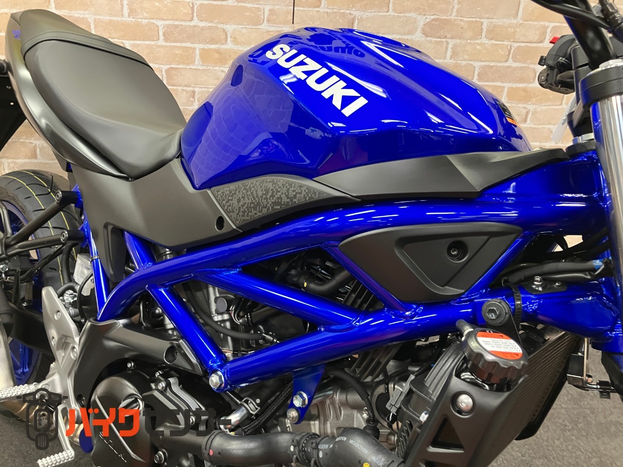 SV650ABS 2025年モデル_8