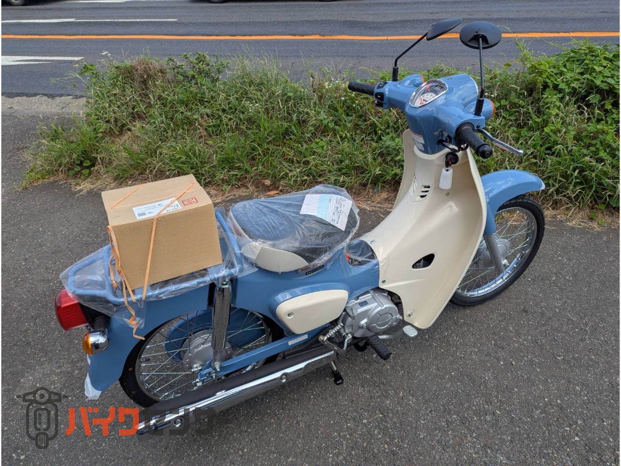 ホンダ スーパーカブ50 伝統のカブ！！！ B550595| BDSバイクセンサー