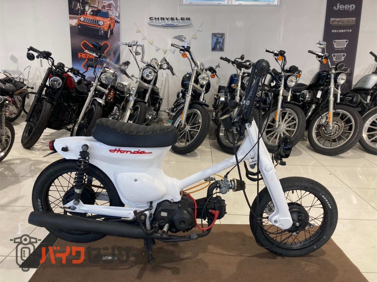 ホンダ リトルカブ B555354| BDSバイクセンサー