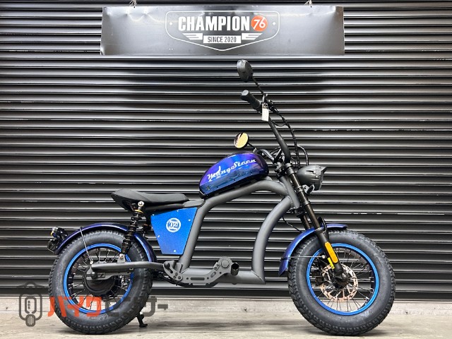 マンゴスティン FT-02 MINI