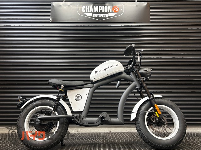 マンゴスティン FT-02 MINI