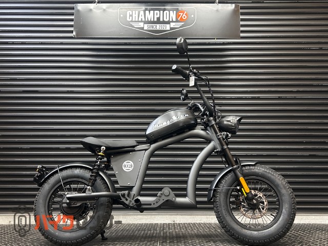 マンゴスティン FT-02 MINI