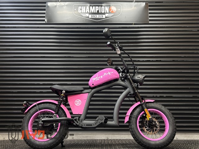 マンゴスティン FT-02 MINI