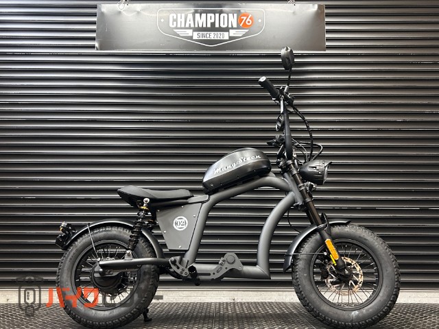 マンゴスティン FT-02 MINI