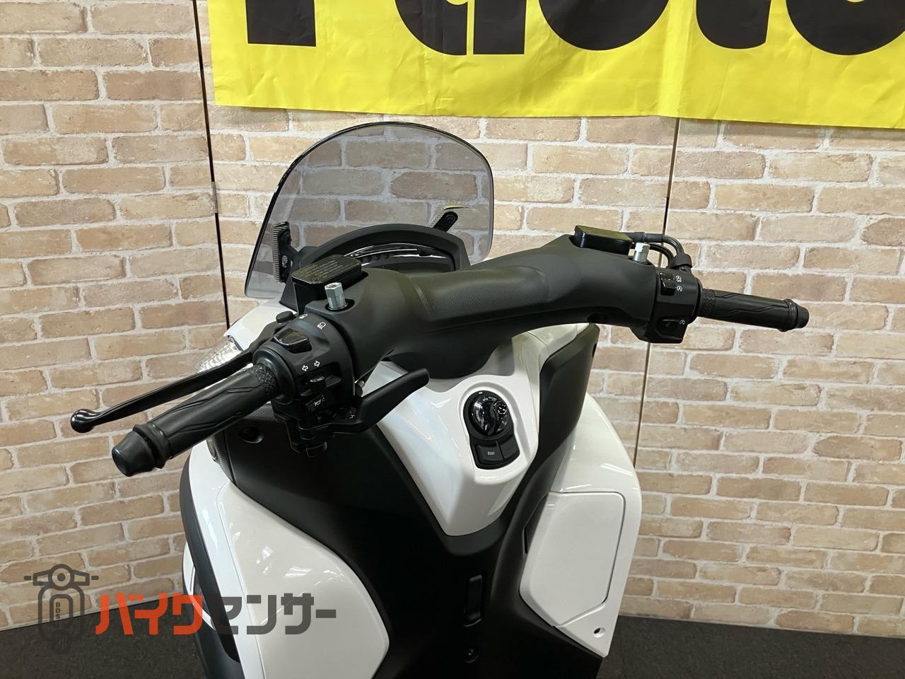 トリシティ155_31