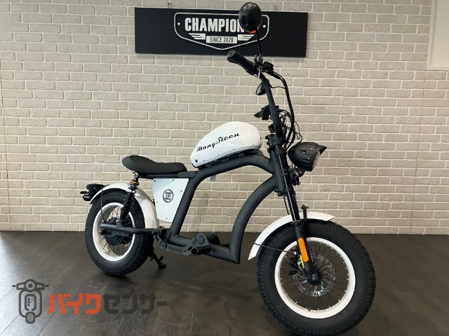 MANGOSTEEN FT02-MINI