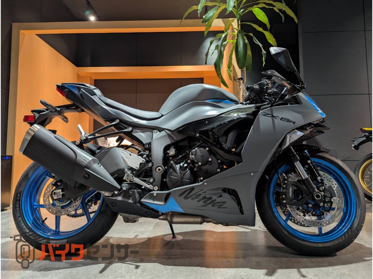 新品ベルクロート　廃盤希少ブラウン カワサキ NINJA ZX-6R 4気筒サウンドを実感してください