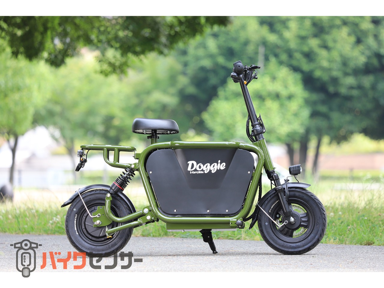 その他電動 新車 E-CarryBike Doggie ドギーバイク グリーン B570003
