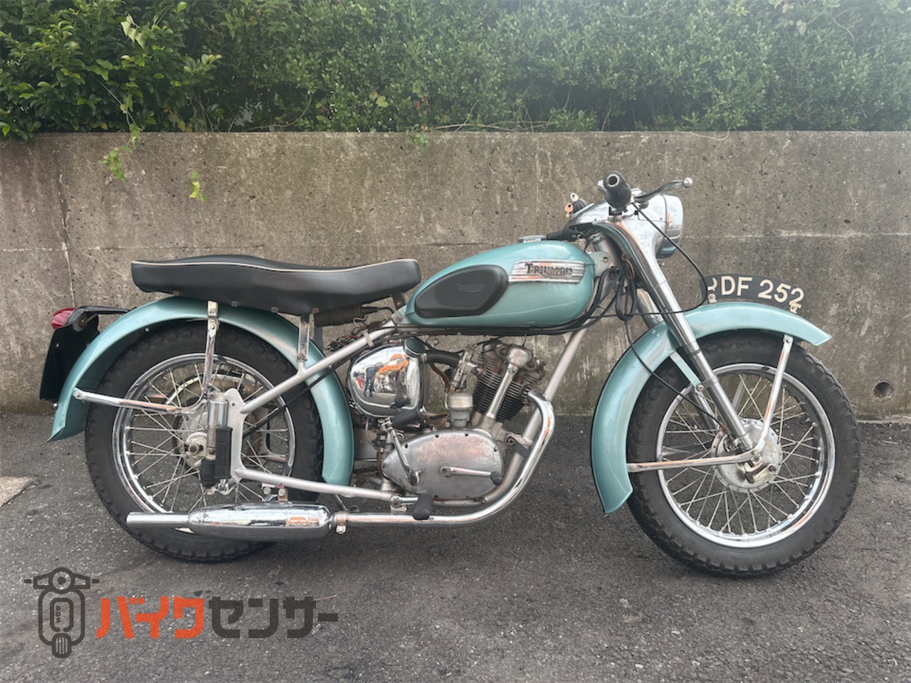 トライアンフ 【動画あり】T20タイガーカブ プランジャー型リアサス