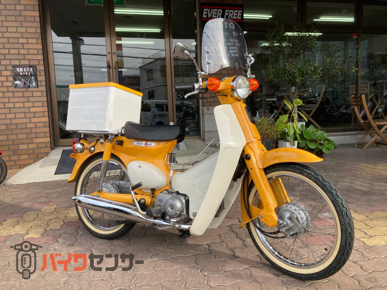ホンダ スーパーカブ50 B575336| BDSバイクセンサー