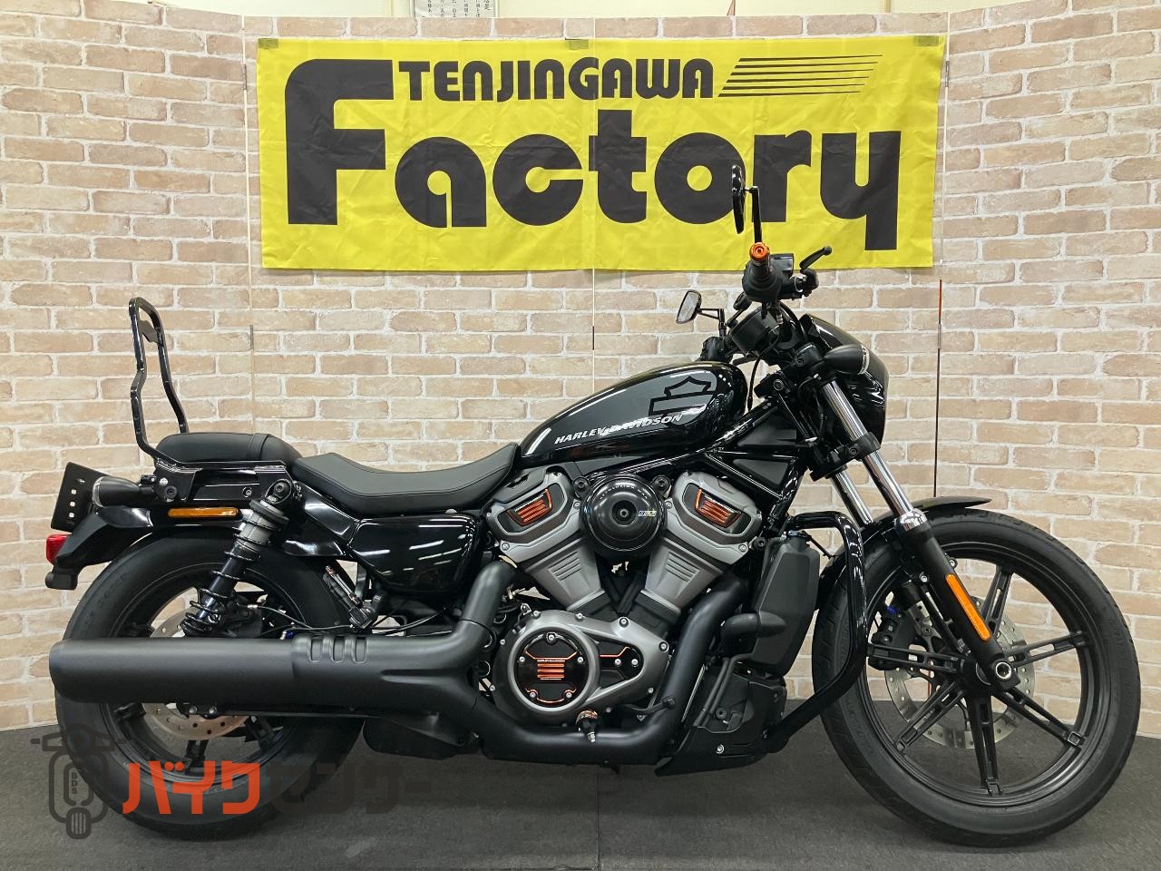 RH975 ナイトスター　エンジンガード　デタッチャブルシーシーバー　アニバーサリーコレクションパーツ　ETC_0