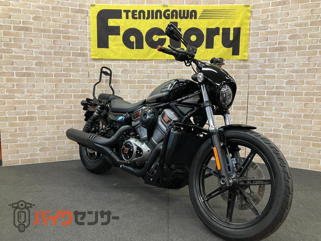 RH975 ナイトスター　エンジンガード　デタッチャブルシーシーバー　アニバーサリーコレクションパーツ　ETC_2