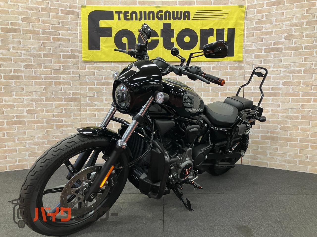 RH975 ナイトスター　エンジンガード　デタッチャブルシーシーバー　アニバーサリーコレクションパーツ　ETC_3