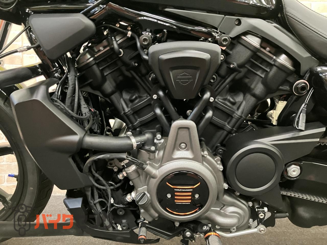 RH975 ナイトスター　エンジンガード　デタッチャブルシーシーバー　アニバーサリーコレクションパーツ　ETC_12