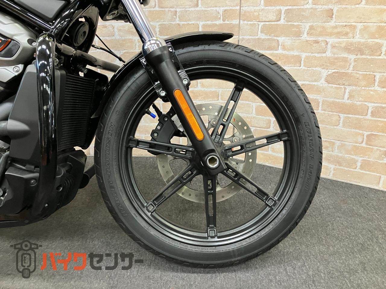 RH975 ナイトスター　エンジンガード　デタッチャブルシーシーバー　アニバーサリーコレクションパーツ　ETC_34