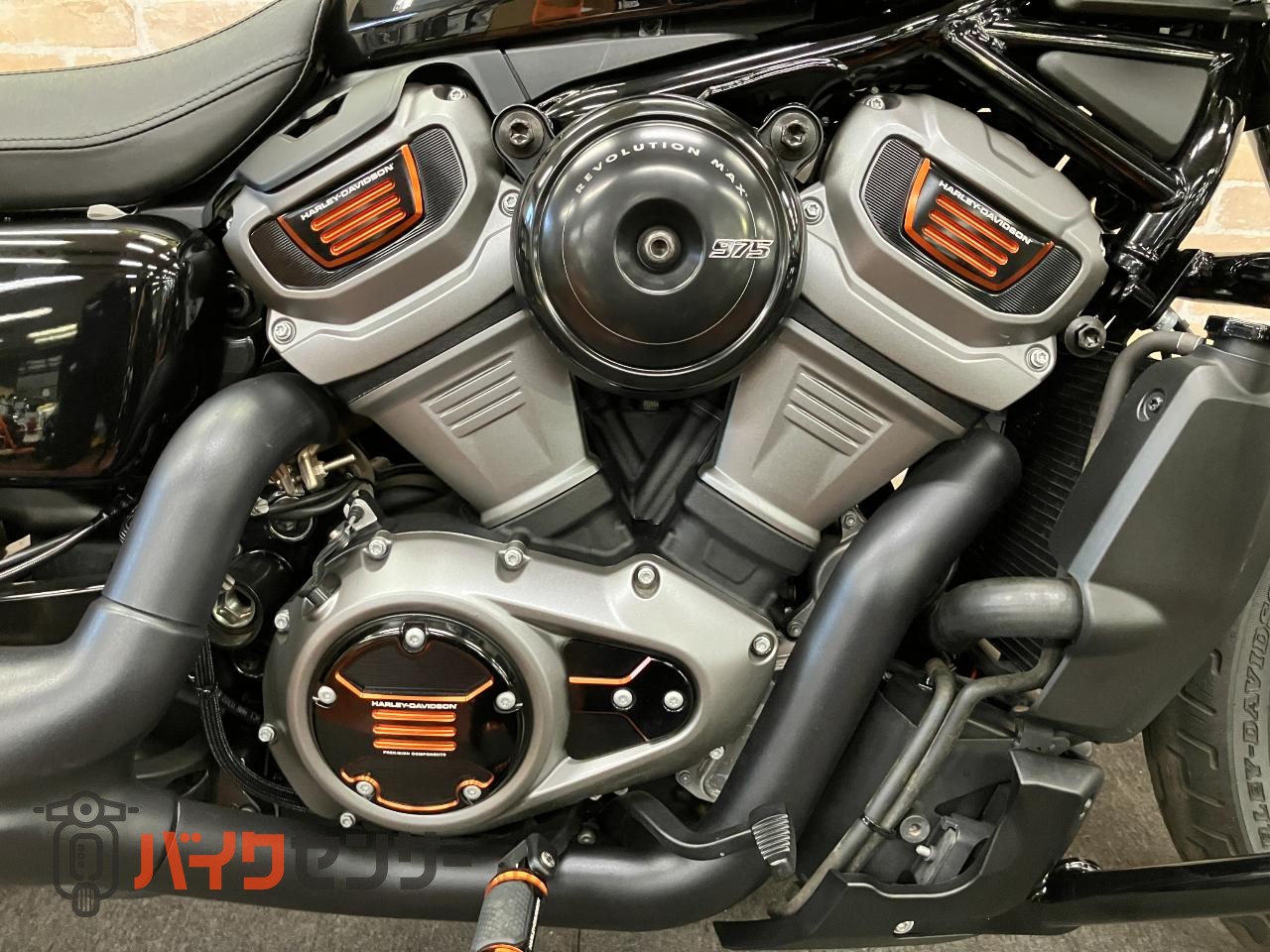 RH975 ナイトスター　エンジンガード　デタッチャブルシーシーバー　アニバーサリーコレクションパーツ　ETC_35