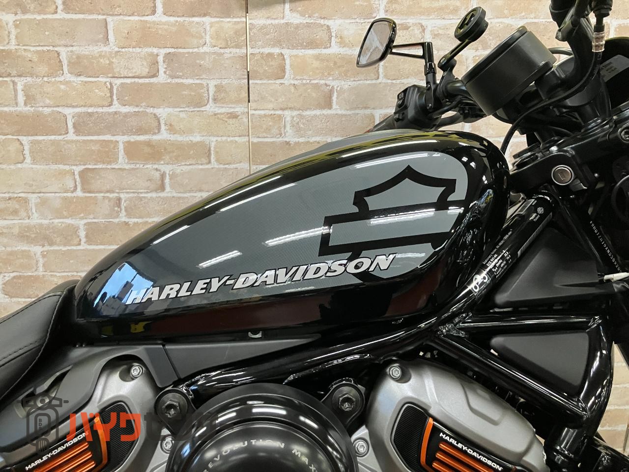 RH975 ナイトスター　エンジンガード　デタッチャブルシーシーバー　アニバーサリーコレクションパーツ　ETC_36