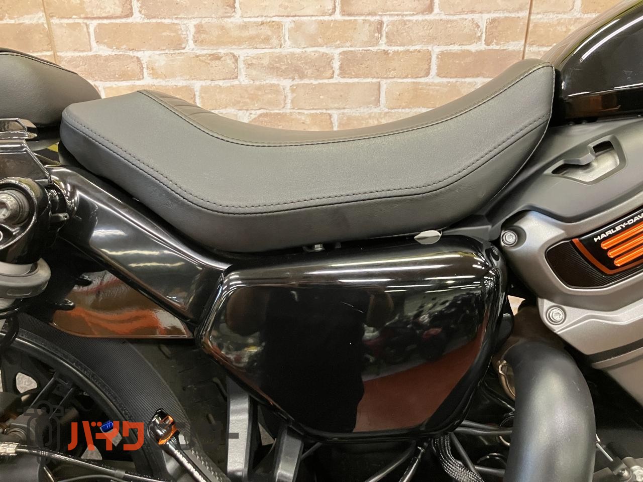 RH975 ナイトスター　エンジンガード　デタッチャブルシーシーバー　アニバーサリーコレクションパーツ　ETC_37