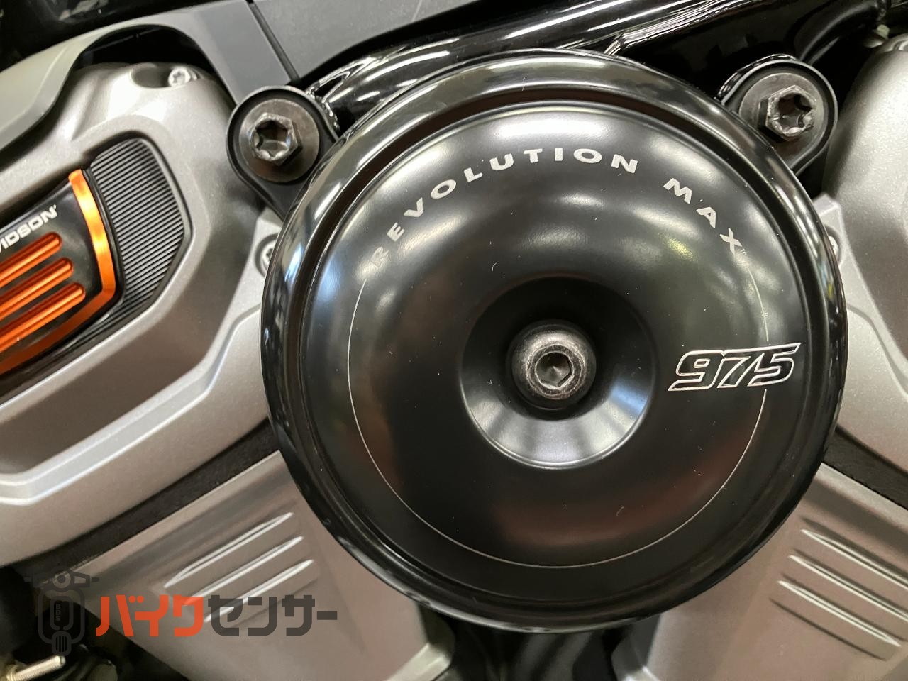 RH975 ナイトスター　エンジンガード　デタッチャブルシーシーバー　アニバーサリーコレクションパーツ　ETC_39