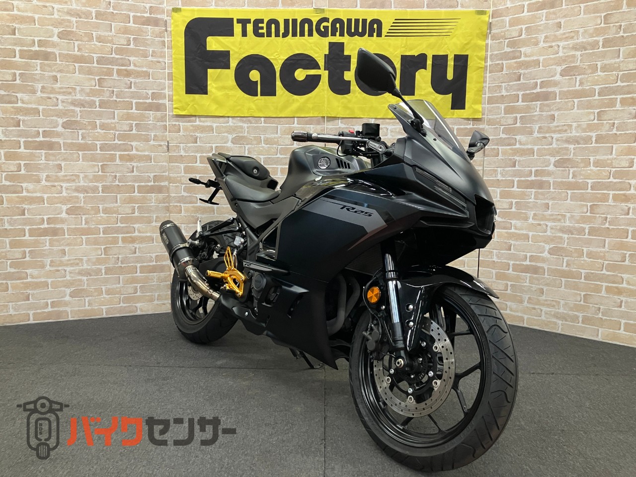 YZF-R25　WR'Sスリップオン　ベビーフェイスバックステップ　カウリングプロテクター　クイックシフター　フェンダーレス_2