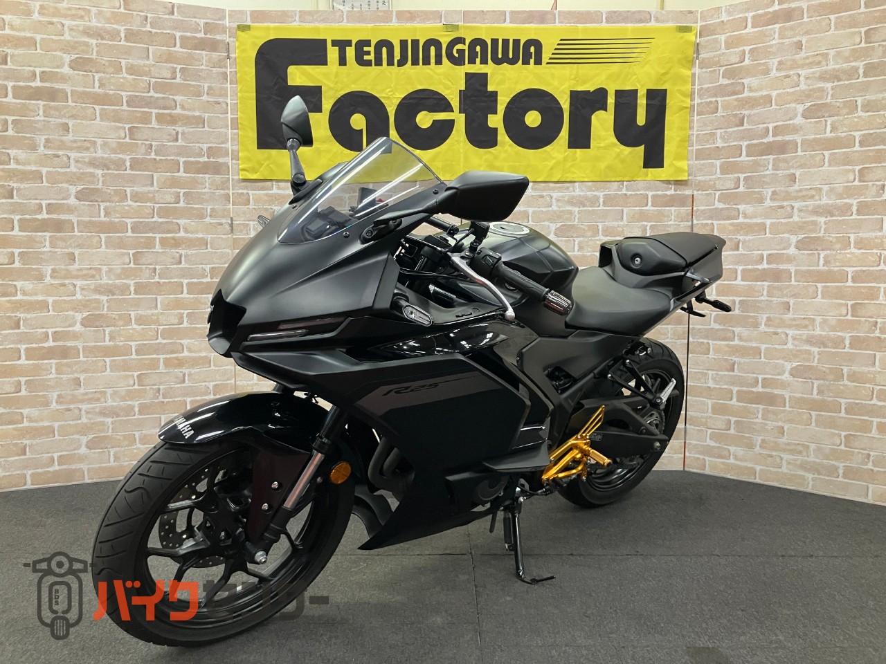 YZF-R25　WR'Sスリップオン　ベビーフェイスバックステップ　カウリングプロテクター　クイックシフター　フェンダーレス_3